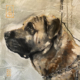 Portret van een Bull Mastiff, in opdracht overleden hond.