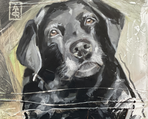 Hond op maat geschilderd, zwarte labrador Sam